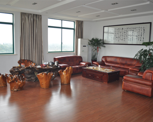 公司展示